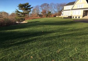 Landscaping for a steep grade