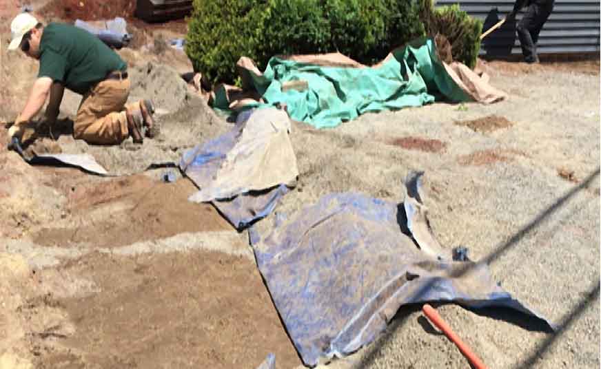 Polyester tarps were buried under the entire site