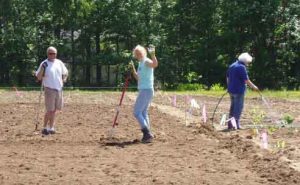 Caro Laboissonniere working with other volunteers on the Kennebunk Community Garden