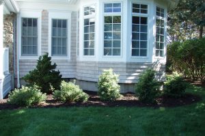 New plantings in front of house