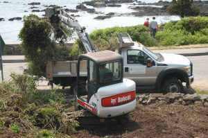 Excavator removing overgrowth