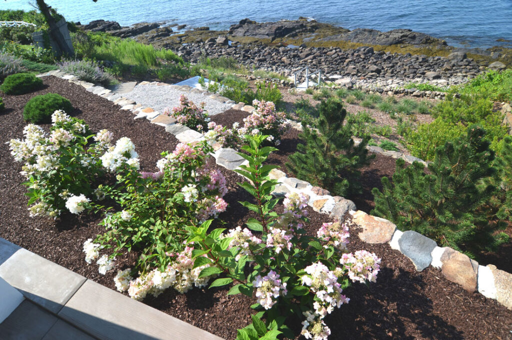 STEEP BANK PLANTING CHALLENGE - Landscape Designer | Kennebunkport Maine