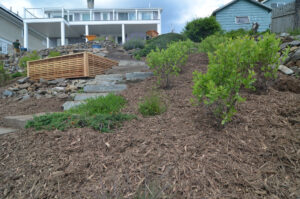 Salt tolerant plants and mulch control the steep slope