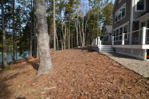 The finished landscape is graded and mulched to create a natural woodscape