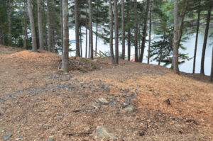 The steep slope in the rear of the property makes access to the waterfront difficult