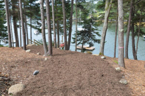 The path to the dock is graded and mulched.